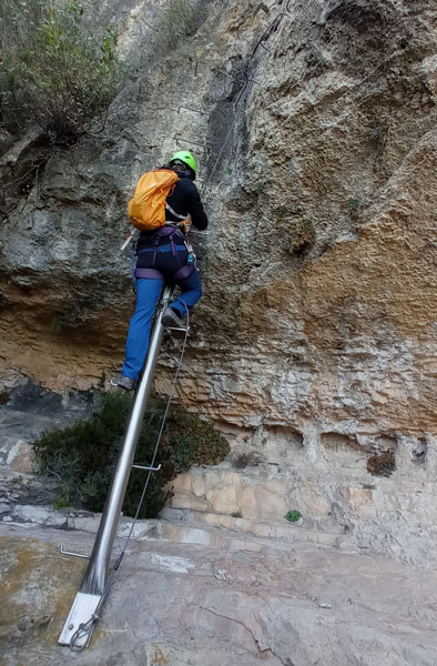 Escalera metálica distintiva de la Vía Ferrata de la Feixa del Colom, facilitando el acceso a la feixa nombrada en el recorrido.